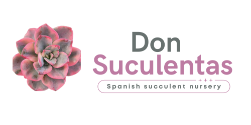 Logo de Don Suculentas, vivero especializado en suculentas variegadas