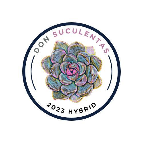 Nuestros híbridos - Donsuculentas