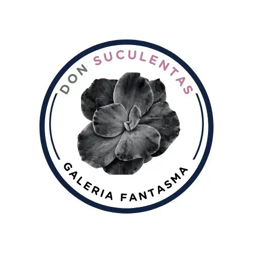 Logotipo circular que presenta una fotografía en blanco y negro de una planta suculenta en su centro, rodeada por el texto 'don suculentas' y 'galería fantasma'.